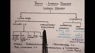 Lymphatic drainage of breast simplified charts [upl. by Aniat878]