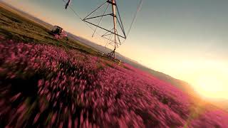 Sainfoin Farming in Montana [upl. by Akirderf327]