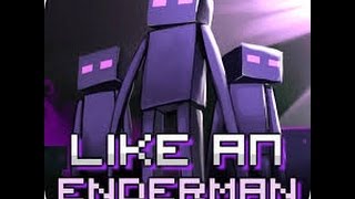 Like an Enderman Coaster With Original Animation [upl. by Haidabej]