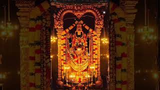 Kaliyuga Daiva Lord Balaji lordbalaji balaji venkateswaraswamy devotional devotionalstatus [upl. by Elwee]