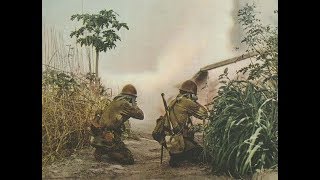 Japanese Army vs Killer Crocodiles 1945 [upl. by Assirolc986]