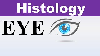 Inderbir Singh Histology Chp21  Histology of EYE  Special Senses  Dr Asif Lectures [upl. by Nadbus]