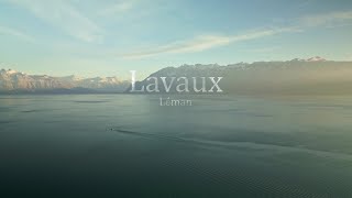 Lavaux  Léman  Suisse  4k Drone  Unesco [upl. by Yenwat962]