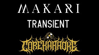 Makari  Transient Karaoke Instrumental [upl. by Hillel47]