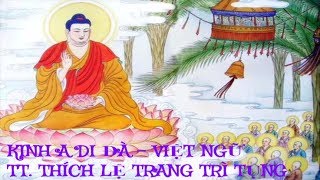 Kinh A Di Đà  TT Thích Lệ Trang tụng [upl. by Korrie]