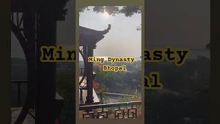 Ming Dynasty bhopal shorts travel mingdynasty youtubeshorts restaurant food [upl. by Dlorag]