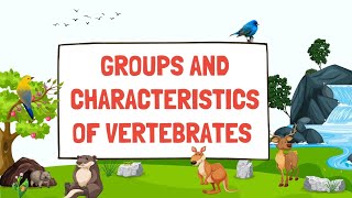 Groups of VertebratesGroups and characteristics of vertebratesClassification of vertebrates [upl. by Rexferd152]