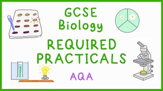 All BIOLOGY Required Practicals  GCSE Science AQA [upl. by Milewski]