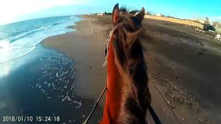 HORSE RIDING ON THE BEACH IN ROME [upl. by Bartholomeus]