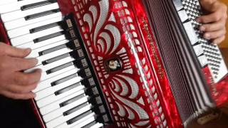 Weltmeister Caprice 120 Bass LMMH Accordion Akkordeon Fisarmonica Red 2 [upl. by Duma62]