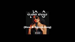 Dakki Paliya ඩැක්කී පාලිය Slow amp Reverb SongSinhala Song [upl. by Silvestro]