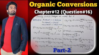 Conversion Reactions in Organic Chemistry  Important Conversions  Class 12 Chapter 12 Conversions [upl. by Ydrah]