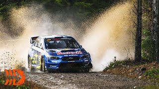 Best of Olympus Rally 2020  Action Flat Out Pure Sound [upl. by Adnalra]