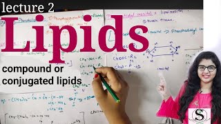 Lipids lecture 2  Biomolecules  Compound lipids  lipids biochemistry  lipids classification [upl. by Septima518]