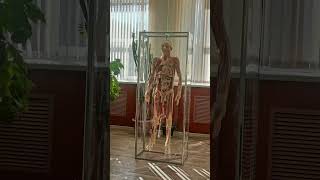 quotReal Cadaver Practice at Yaroslav the Wise Novgorod State University  MBBS Abroadquot [upl. by Kemp120]