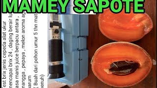 MAMEY SAPOTE [upl. by Ahtis]