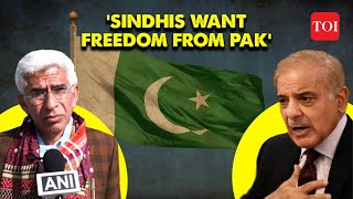 Pakistan is a Curse on the Earth  Sindhi Foundation Protests Against Atrocities on Minorities [upl. by Norret866]