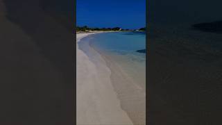 nature aruba youtubeshorts viralvideo 🇦🇼🌺💙 [upl. by Chico439]