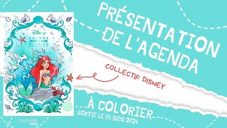 Agenda Disney à colorier 2024 2025  Hachette Heroes [upl. by Rehposirhc]