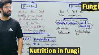 Nutrition in fungi  Saprophytic Parasitic And Predator Fungi  Class 11 Biology [upl. by Lledniw]