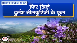 Neelakurinji Flowers In Full Bloom  Daily Current News  Drishti IAS [upl. by Qulllon]