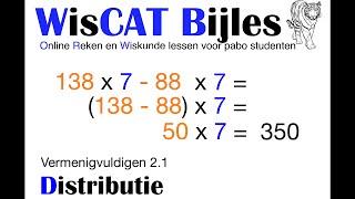 Distributie  WisCAT Werkboek Vermenigvuldigen 21 [upl. by Annis]