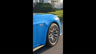 Grabber Blue 2024 Mustang GT shorts [upl. by Einnaf]