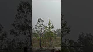 rainy and stormy youtube shortsviral nature rain [upl. by Durman]