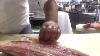 How to fillet the Amberjack Hamachi [upl. by Dorette]