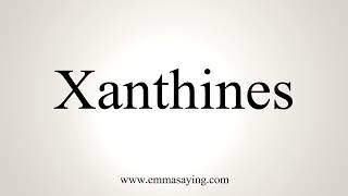 How To Pronounce Xanthines [upl. by Nosemyaj]