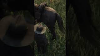 RDR2  How to clean a horse shorts rdr2 [upl. by Vershen188]