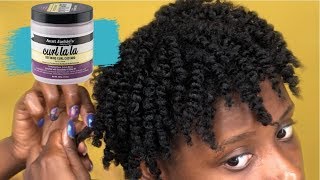 How To Twist Out On Short Natural 4B4C Hair  Curl La La [upl. by Vasos]