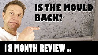 Has the Mould Come Back  18 Month Review [upl. by Papst]