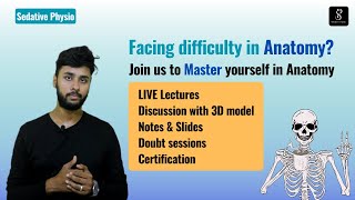 Anatomy Masterclasses with 3D Model  Join the ultimate course  Sedative Physio [upl. by Sosthenna]