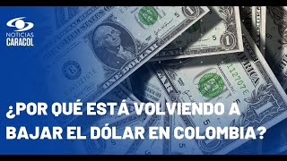 Las razones de la caída del dólar en Colombia [upl. by Nannarb814]