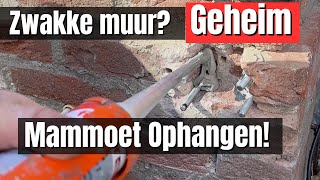 Muur te zwak Geheime truc om aan alle zwakke muren een mammoet op te hangen [upl. by Oiredised]