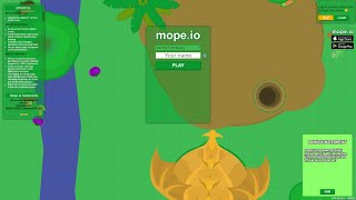 Mopeio LIVESTREAM Mope NEW UPDATE S1 Graphics Skins  NEW SERVERS  Server FF1 [upl. by Chalmer]