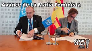 Avance de La Mafia Feminista  151124 [upl. by Kariotta]