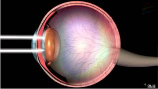 Structure and Working of Human Eye [upl. by Batholomew]