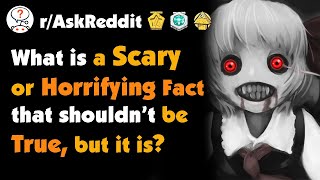 What is a Scary or Horrifying Fact That Shouldn’t be True but is [upl. by Mendez]