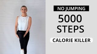 WALKING WORKOUT  5000 STEPS  NO JUMPING [upl. by Llecrup]