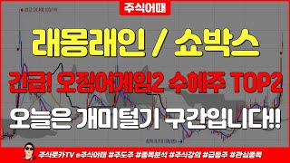 래몽래인  쇼박스📈주가전망긴급 오징어게임2 수혜주 TOP2 오늘은 개미털기 구간입니다 앞으로 주가는 여기까지 보세요 [upl. by Manard]