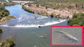 MONSTER CROC towers over BULL SHARK  Ivanhoe Crossing Kununurra The Kimberley WA [upl. by Howes]