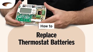 How to Replace Thermostat Batteries [upl. by Norre]