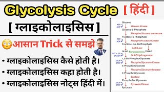 Glycolysis Cycle  Glycolysis Pathway  Carbohydrates Metabolism  Glycolysis in hindi  Glycolysis [upl. by Christie]