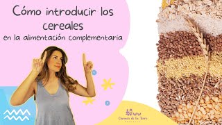 Cómo INTRODUCIR los CEREALES 🥣en ALIMENTACIÓN COMPLEMENTARIA [upl. by Oriel]