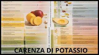 CARENZA DI POTASSIO [upl. by Jones]