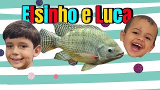 Criação de Peixes Elsinho e Luca na Pescaria de Tilapia [upl. by Yesor850]