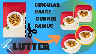 Round Image Widget with Border in flutter ClipRRect Widget Corner Radius Image in flutter [upl. by Mayyahk]