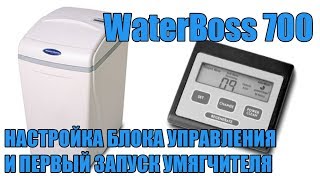 WaterBoss 700 Настройка и первый запуск системы умягчения для коттеджей [upl. by Yemorej608]